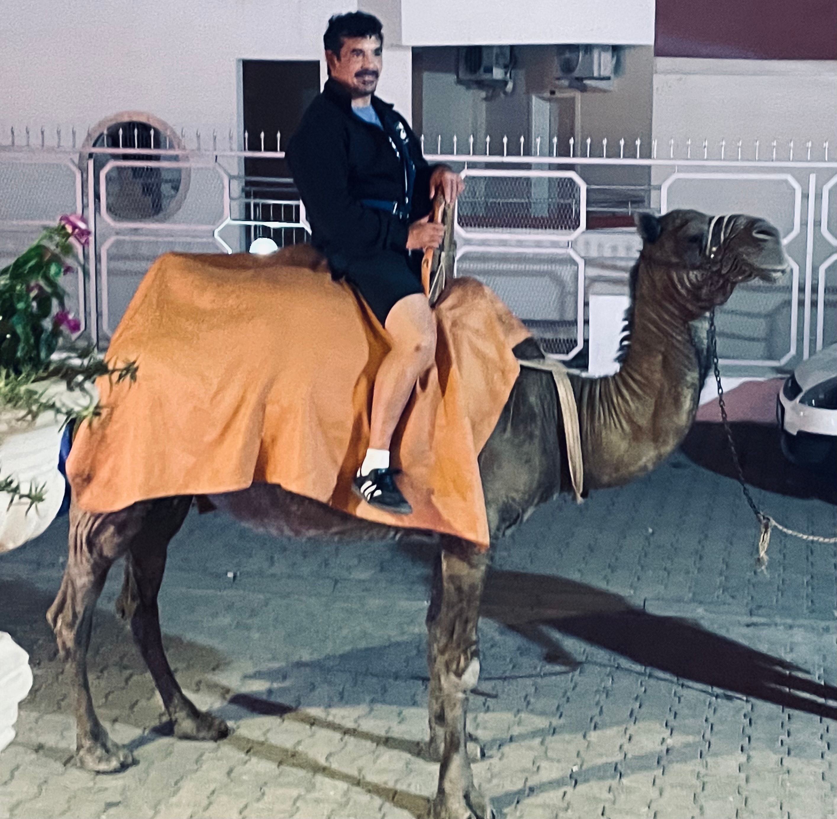 Wade riding a camel